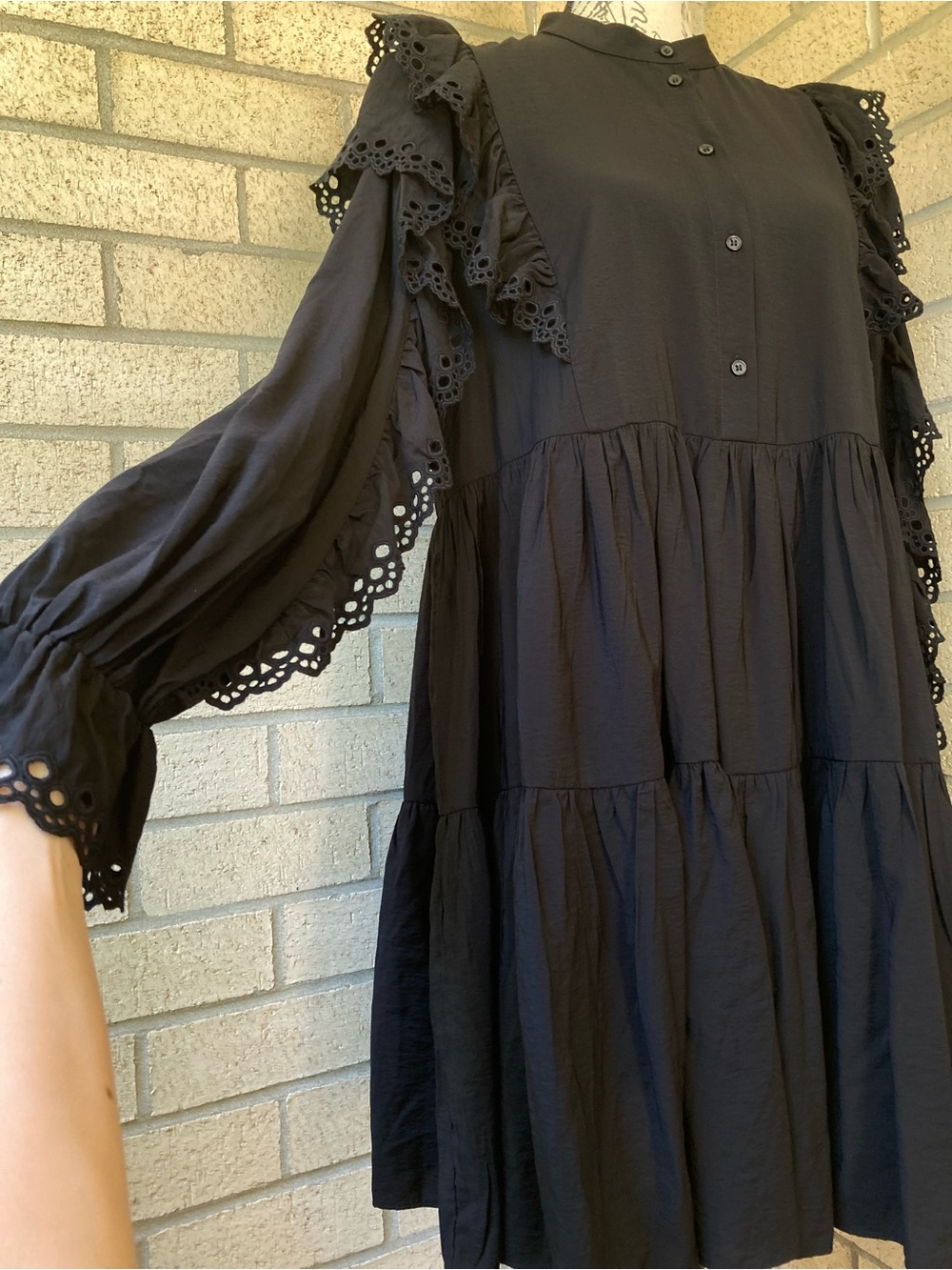 & Other Stories Eyelet Ruffle Long Sleeve Mini Dress Black Whimsigoth Dress